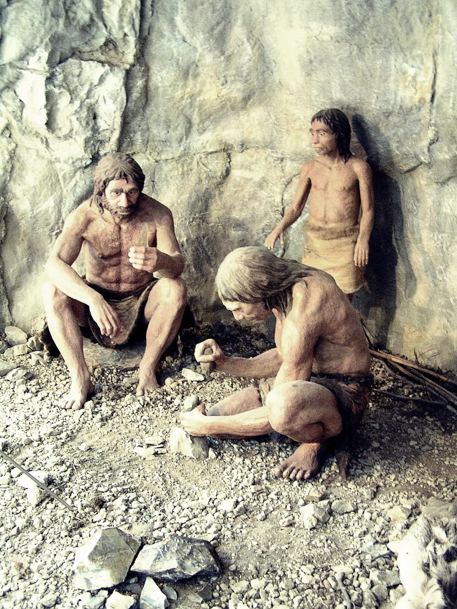 Neanderthals: How Our Closest Extinct Relatives Lived, Thought and Disappeared