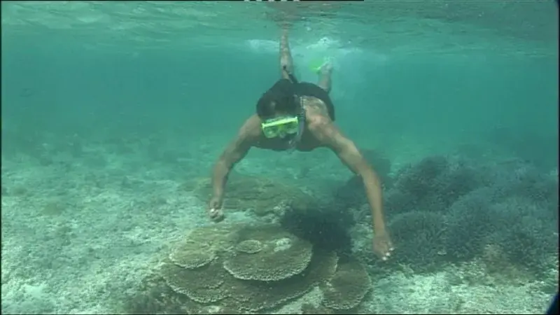 A free-diver swimming underwater along a coral reef with only a simple mask and weight belt