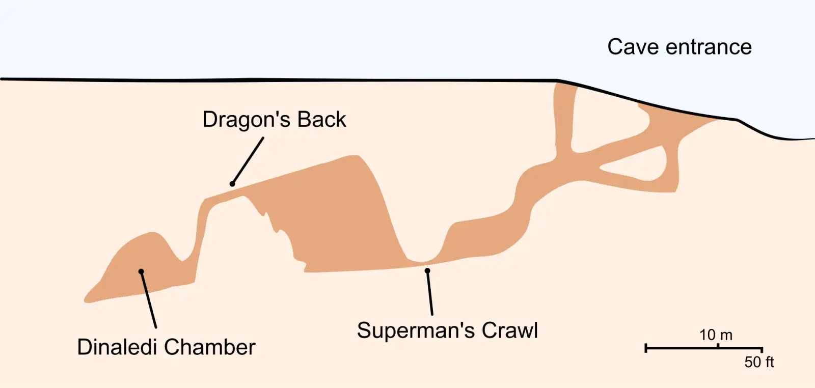 A narrow, twisting vertical rock chute deep underground in a cave system