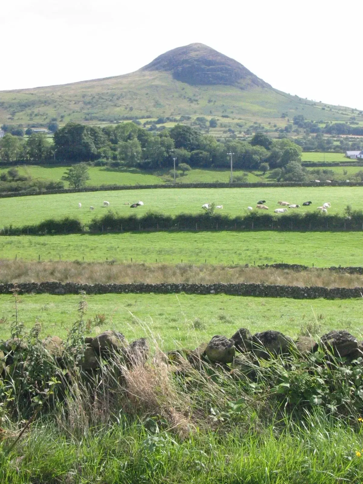 Slemish Mountain rising over the countryside of County Antrim, Northern Ireland