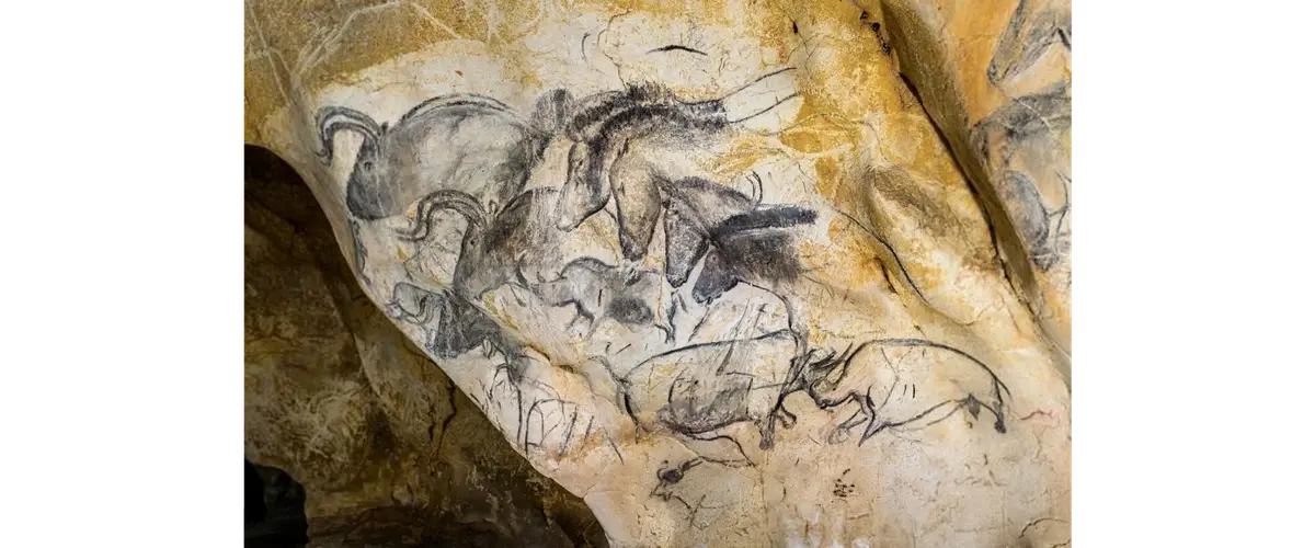Charcoal drawings of horses and rhinoceroses on the wall of Chauvet Cave in southern France