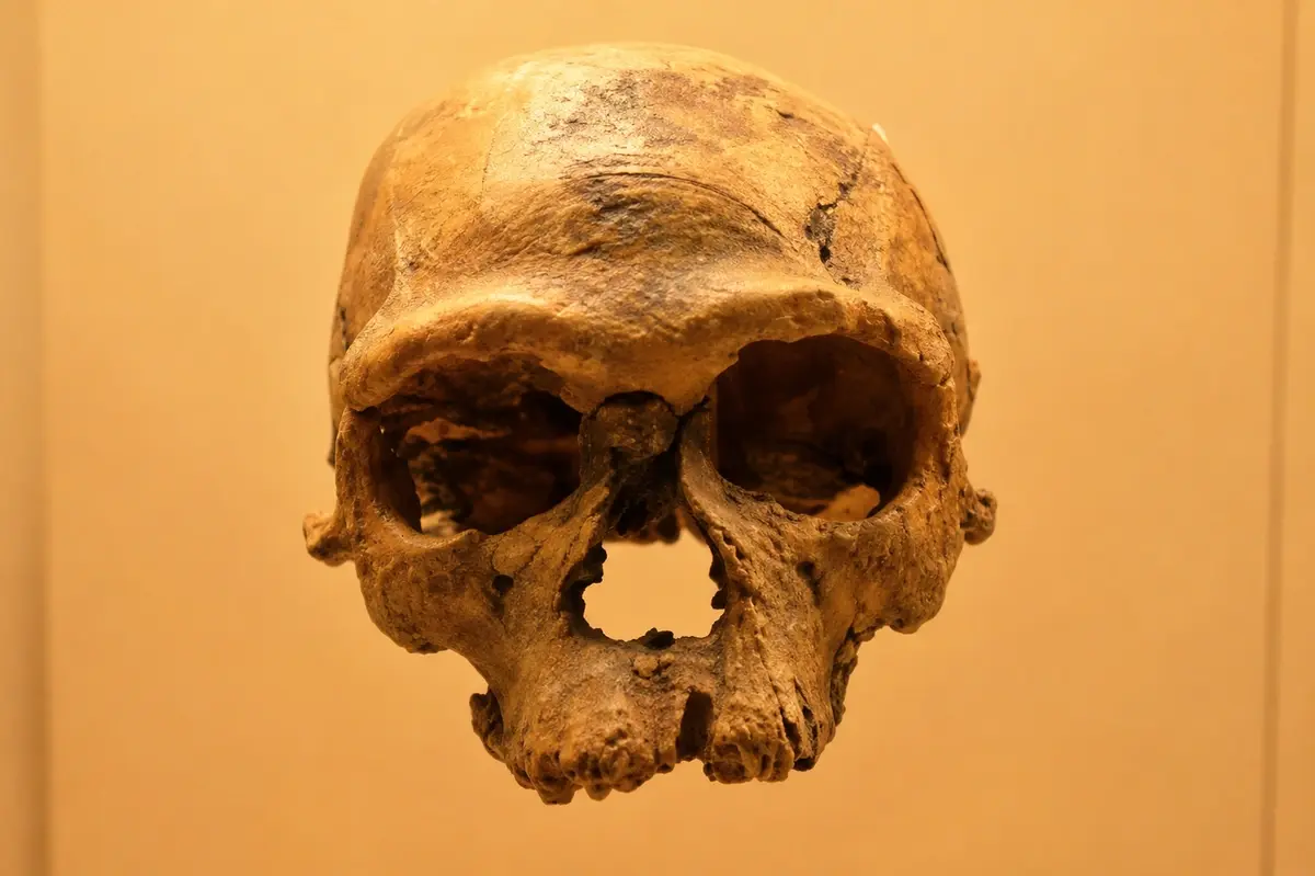 Recent African Origin: How Modern Humans Spread Across the Planet