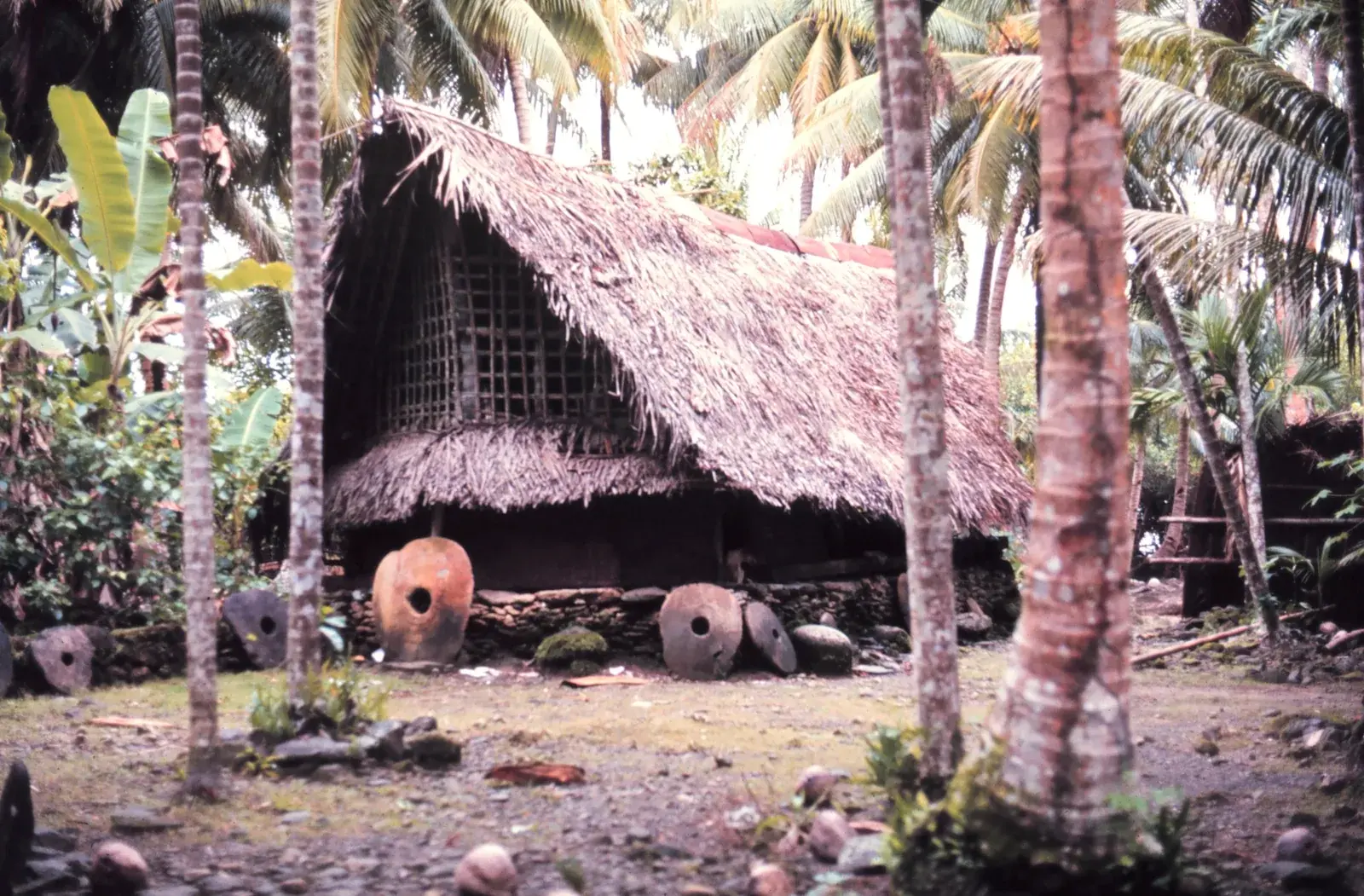 A traditional Yapese house with a steep thatched roof set on a raised stone platform surrounded by tropical plants