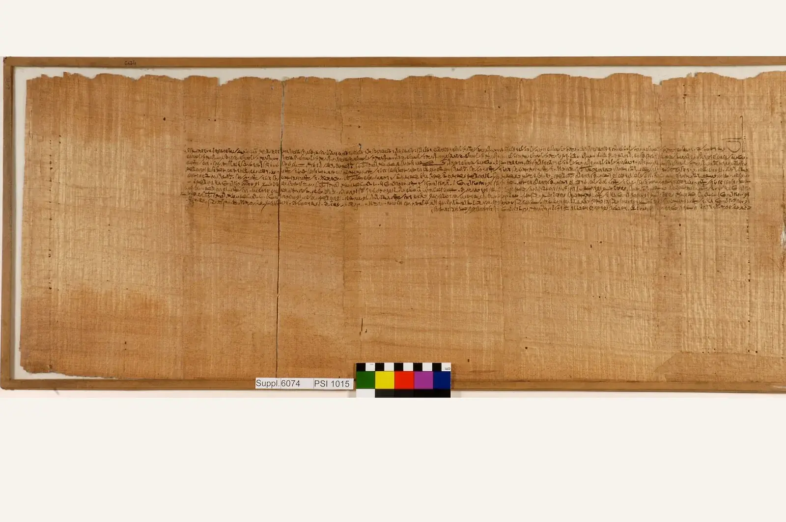 A Demotic script papyrus document from Late Period Egypt