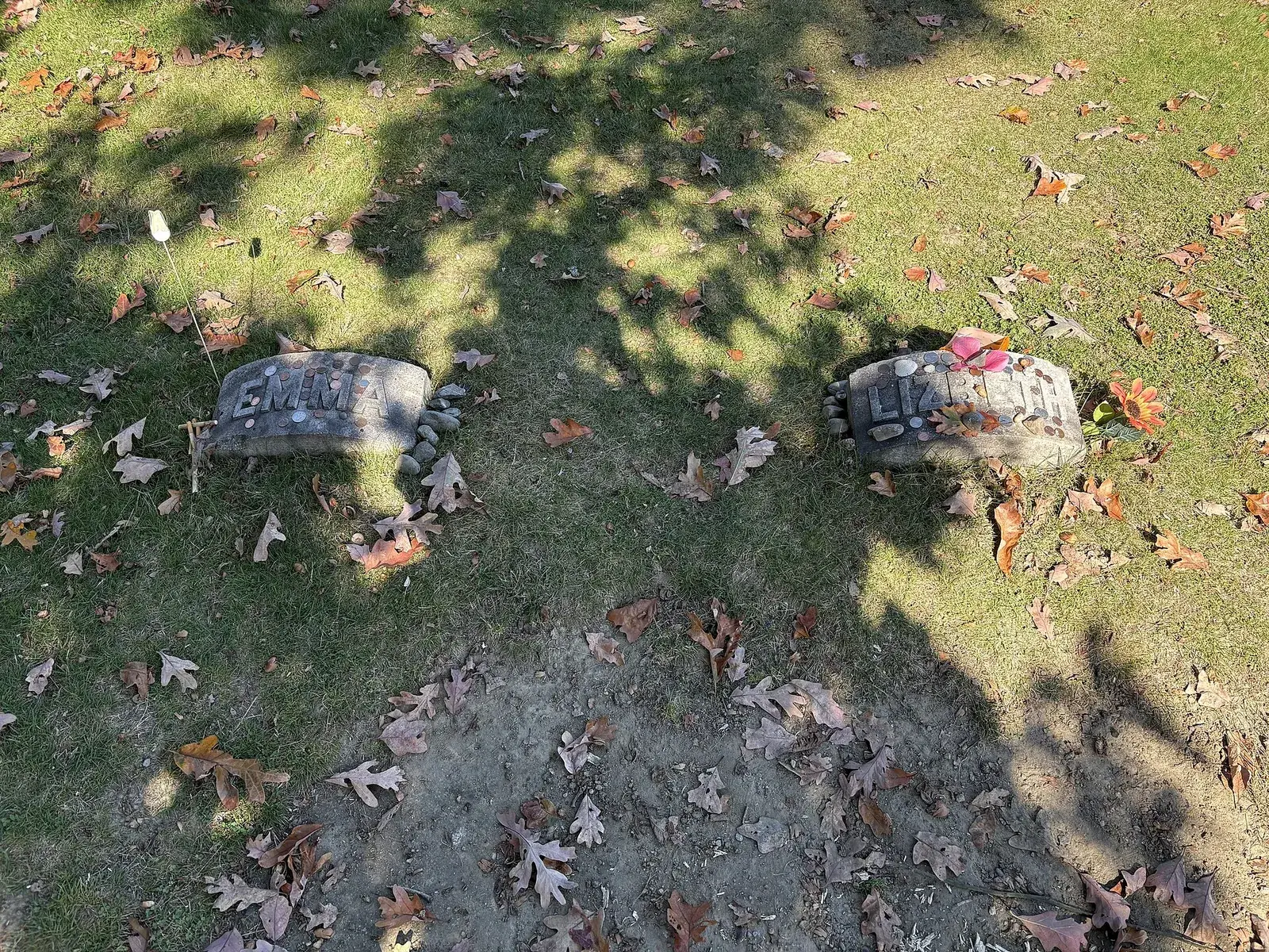 Weathered Borden family headstones standing side by side under trees at Oak Grove Cemetery in Fall River